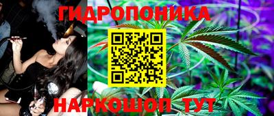 прущие крисы Изобильный
