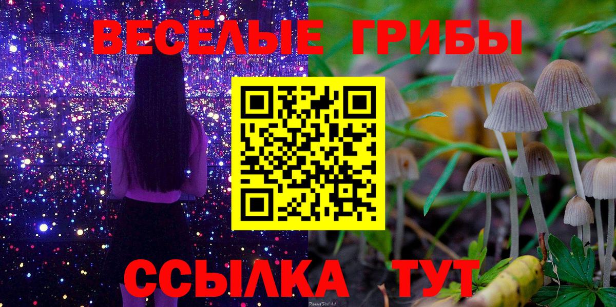 Галлюциногенные грибы мицелий Тобольск