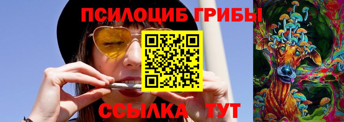 Галлюциногенные грибы мухоморы  Вход с VPN  купить   Псилоцибиновые грибы прущие грибы  Тобольск 